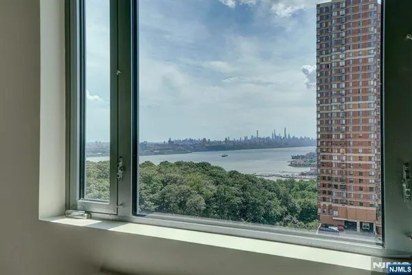 a view of a garden from a window