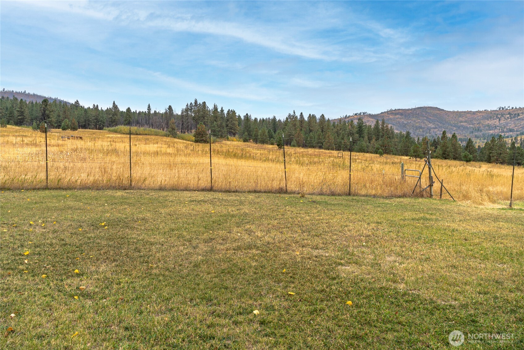 154 Knox Road Riverside, WA 98849 - Photo 29 of 38