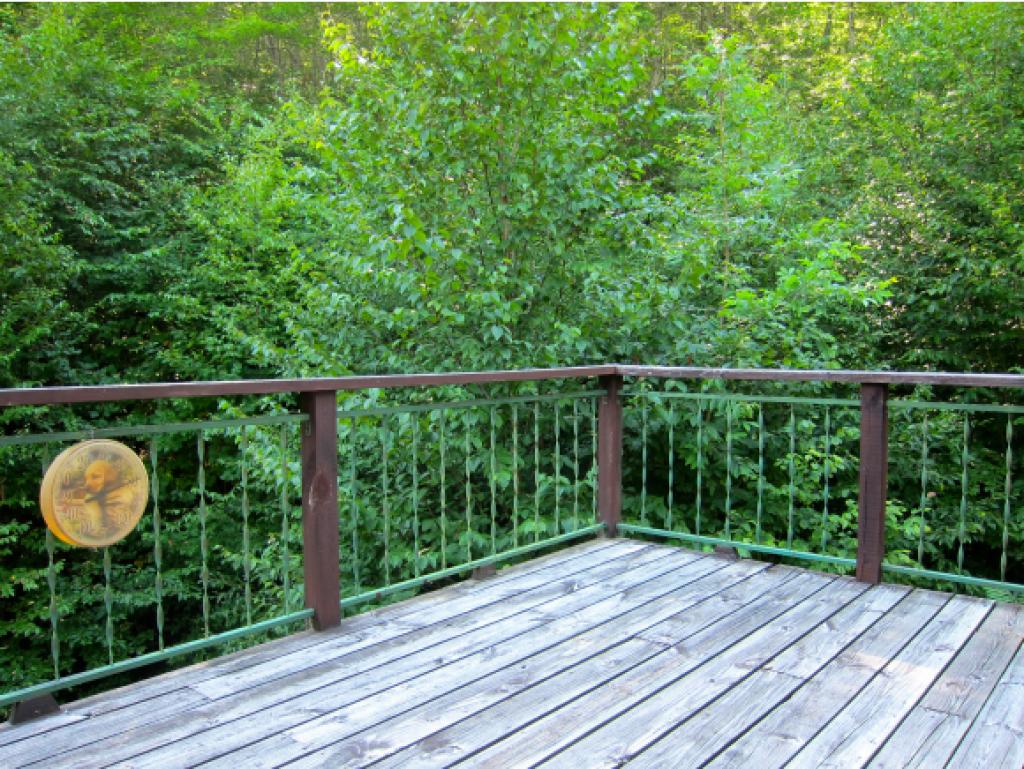 181 Wilcox Hollow Road Sandgate, VT 05250 - Photo 14 of 18 Gallery Image 14