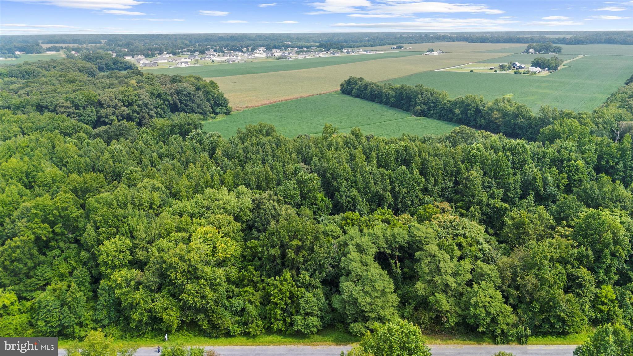 Burnt Mill Road Ridgely, MD 21660 - Photo 3 of 8