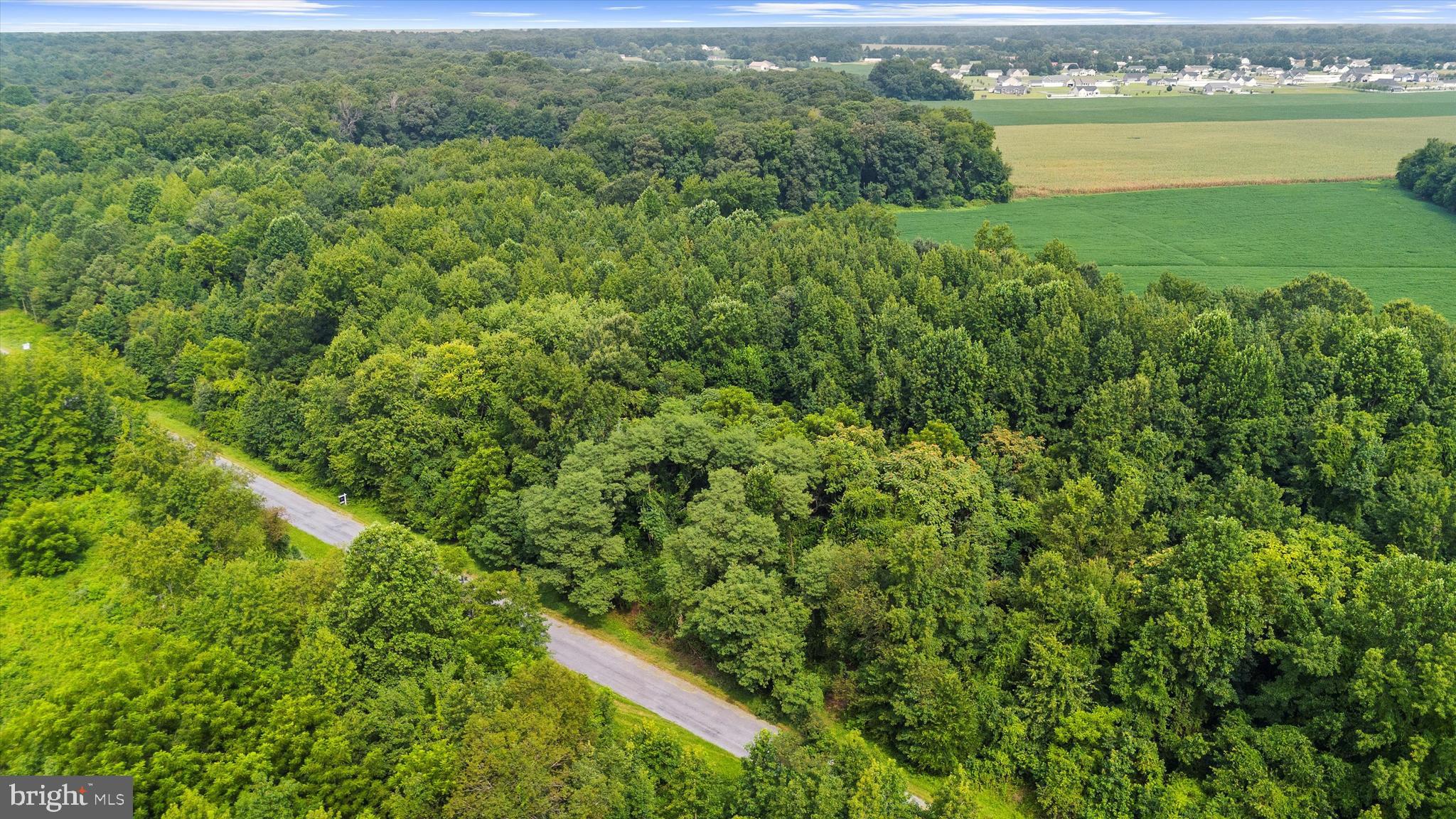 Burnt Mill Road Ridgely, MD 21660 - Photo 4 of 8
