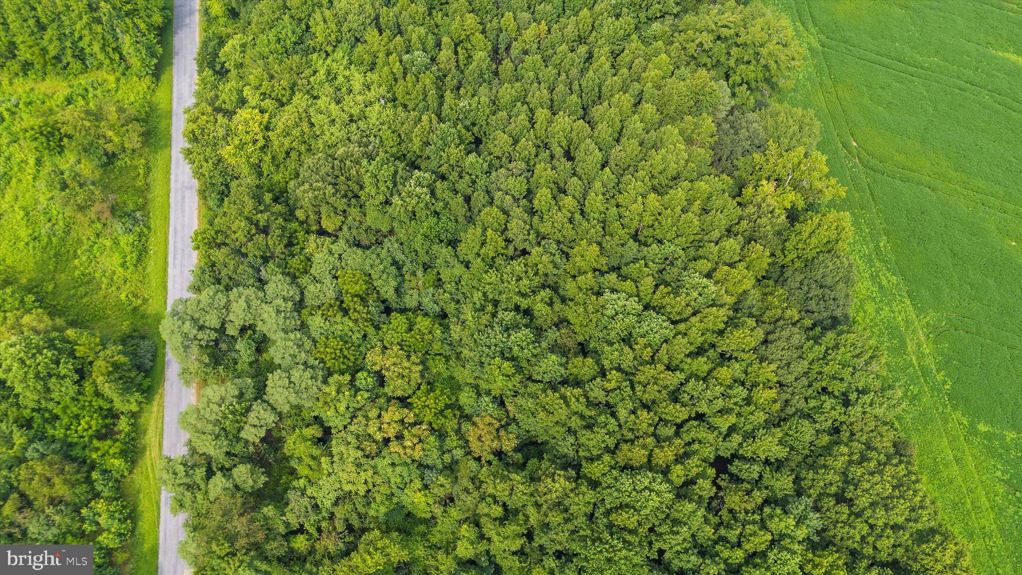 Burnt Mill Road Ridgely, MD 21660 - Photo 6 of 8