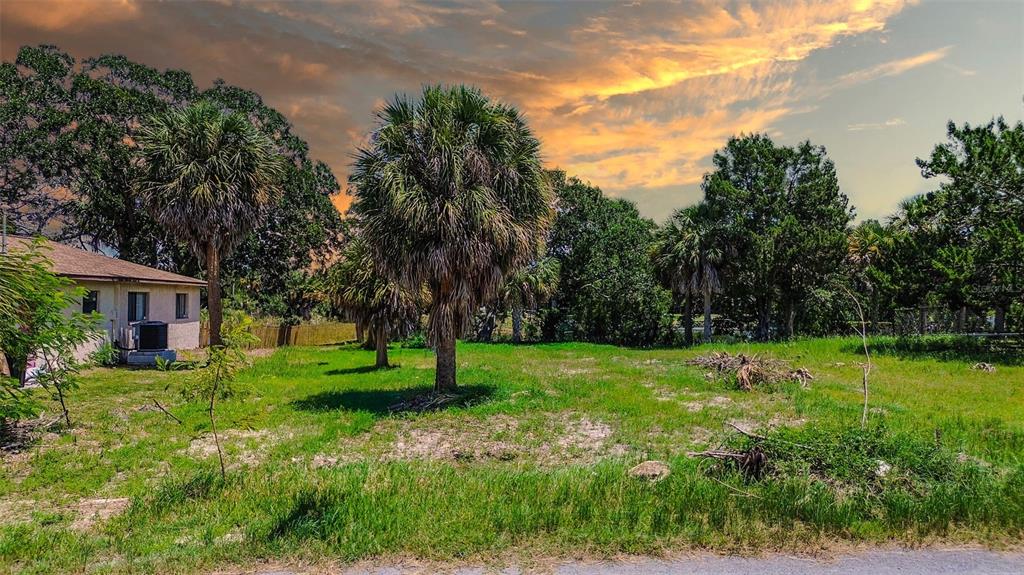 0 Sea Grape Drive, Unit LOT 10 Hernando Beach, FL 34607 - Photo 11 of 23 a view of a backyard with large trees