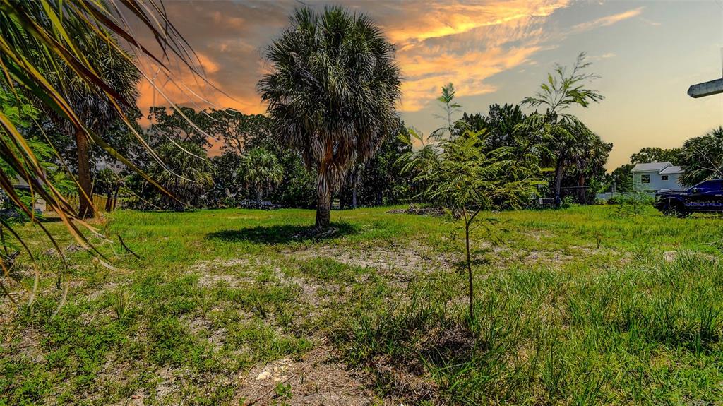 0 Sea Grape Drive, Unit LOT 10 Hernando Beach, FL 34607 - Photo 3 of 23 a view of a field with a tree