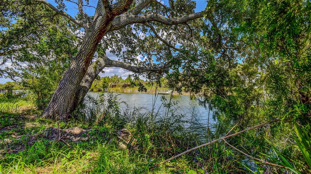 0 Sea Grape Drive, Unit LOT 10 Hernando Beach, FL 34607 - Photo 6 of 23 a view of a yard