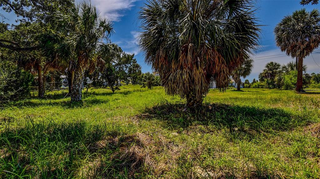 0 Sea Grape Drive, Unit LOT 10 Hernando Beach, FL 34607 - Photo 8 of 23 a view of a park with a large tree