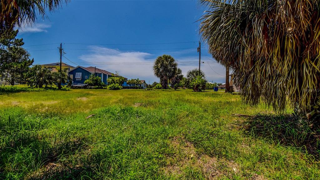 0 Sea Grape Drive, Unit LOT 10 Hernando Beach, FL 34607 - Photo 9 of 23 a garden with trees in front of it