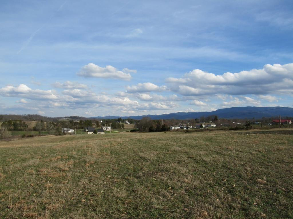 0 Calico Road Afton, TN 37616 - Photo 9 of 12 Photo 9