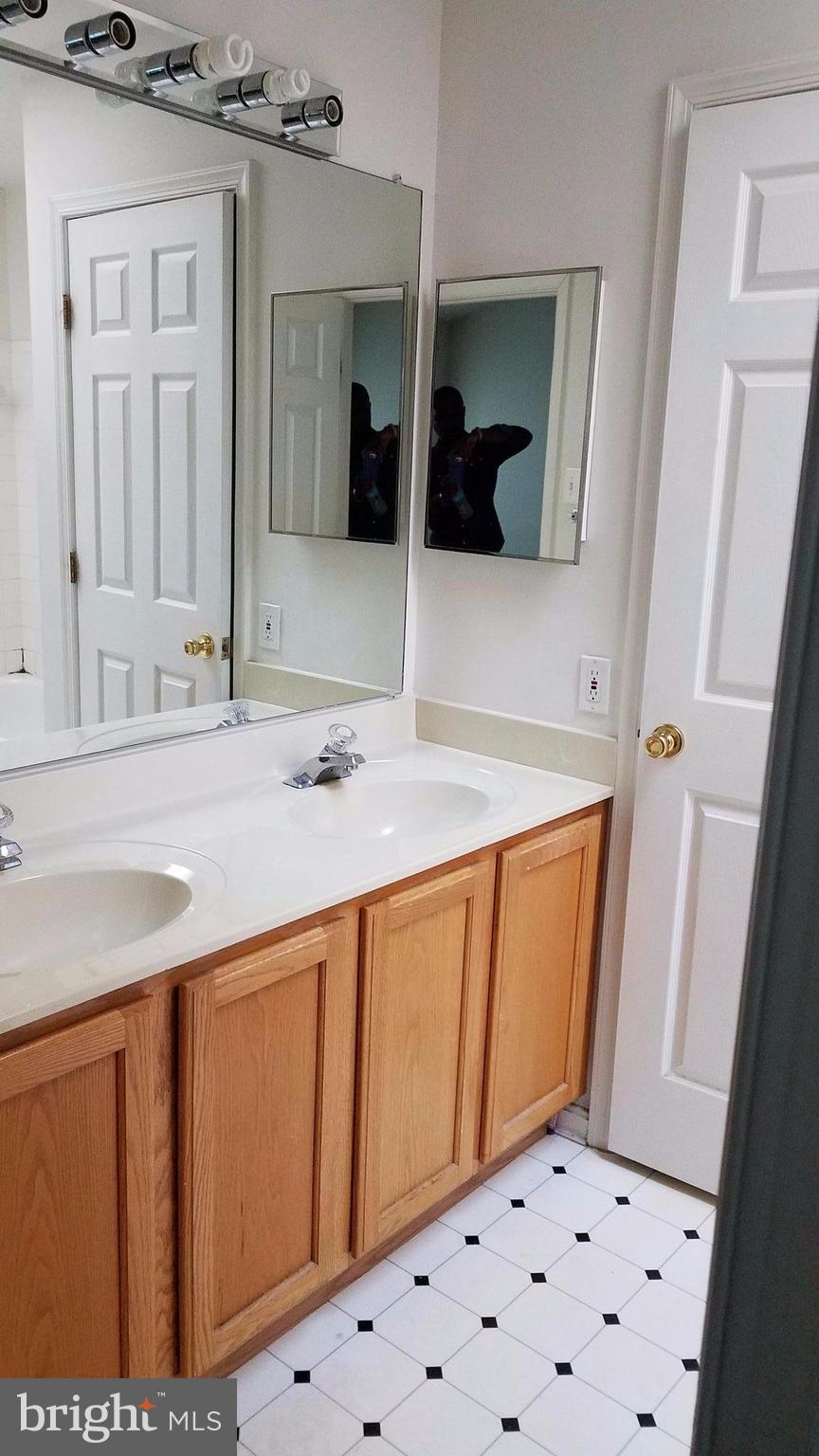 145 Gentlebrook Road Owings Mills, MD 21117 - Photo 16 of 25 Bath (Master)