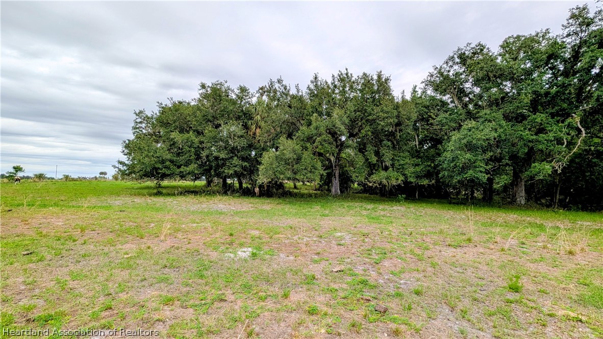 Popash Road Wauchula, FL 33873 - Photo 16 of 29 a view of a yard with a trees