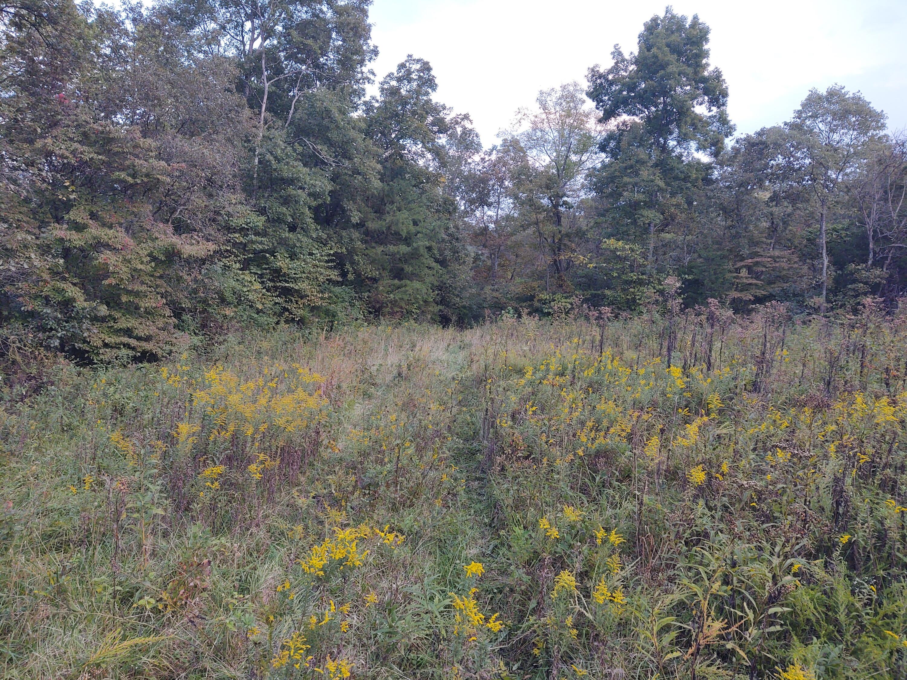 1730 Pine Ridge Road Winchester, KY 40391 - Photo 15 of 23 IMG_20211002_184826538
