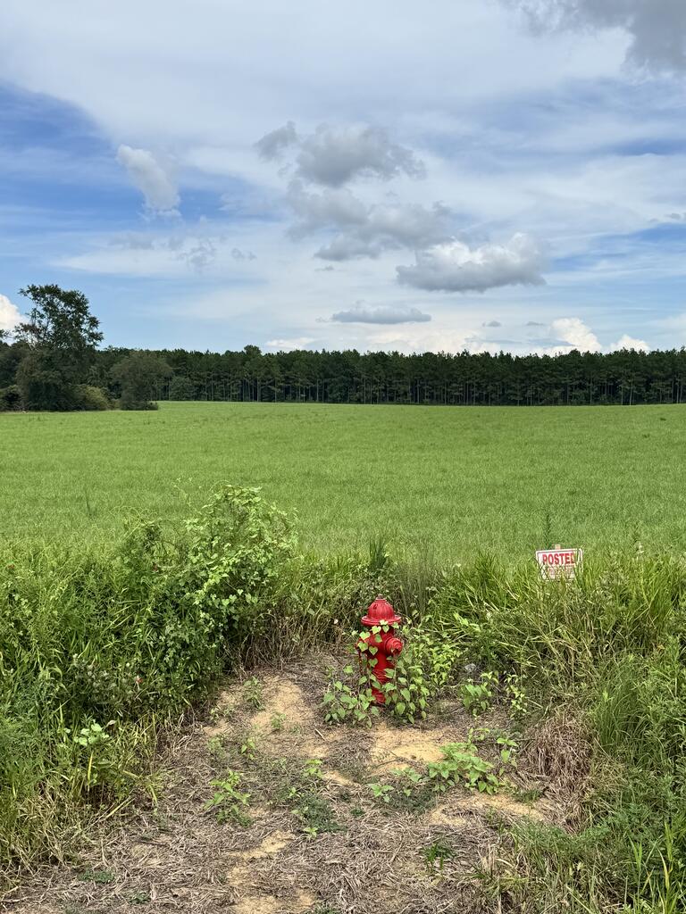 0 Cecil Varnum Road Dothan, AL 36301 - Photo 2 of 6 Gallery Image 2