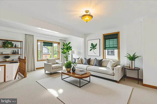 a living room with furniture and a potted plant