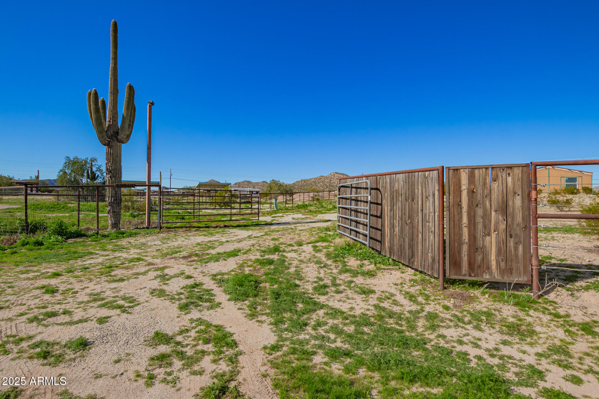 29042 North Brenner Pass Road San Tan Valley, AZ 85144 - Photo 21 of 24 a view of a garden with an outdoor space