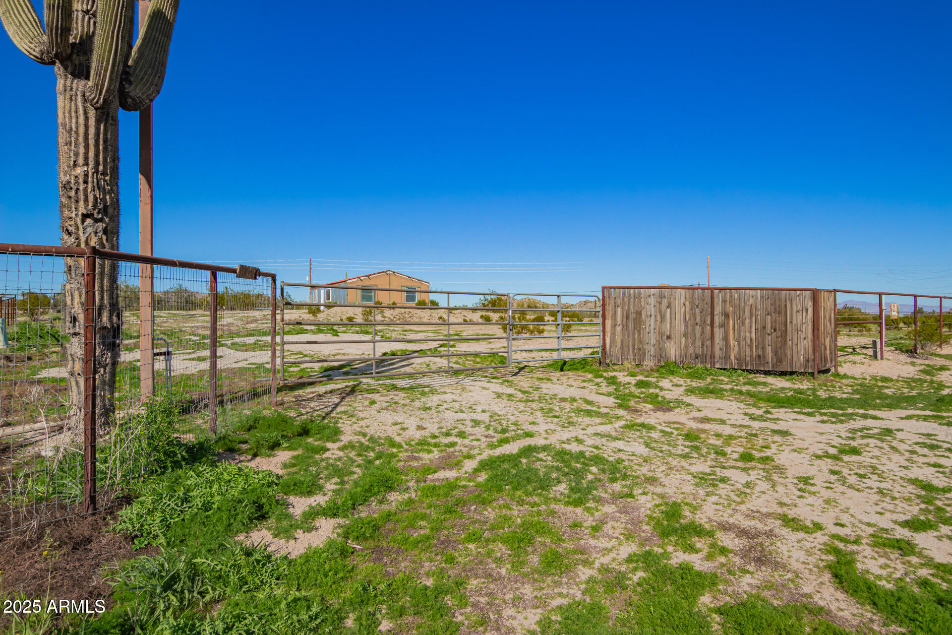 29042 North Brenner Pass Road San Tan Valley, AZ 85144 - Photo 24 of 24 a view of a backyard