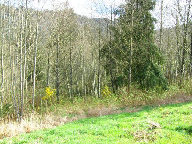 41 Skyview Road Tillamook, OR 97141 - Photo 25 of 33 P3180286