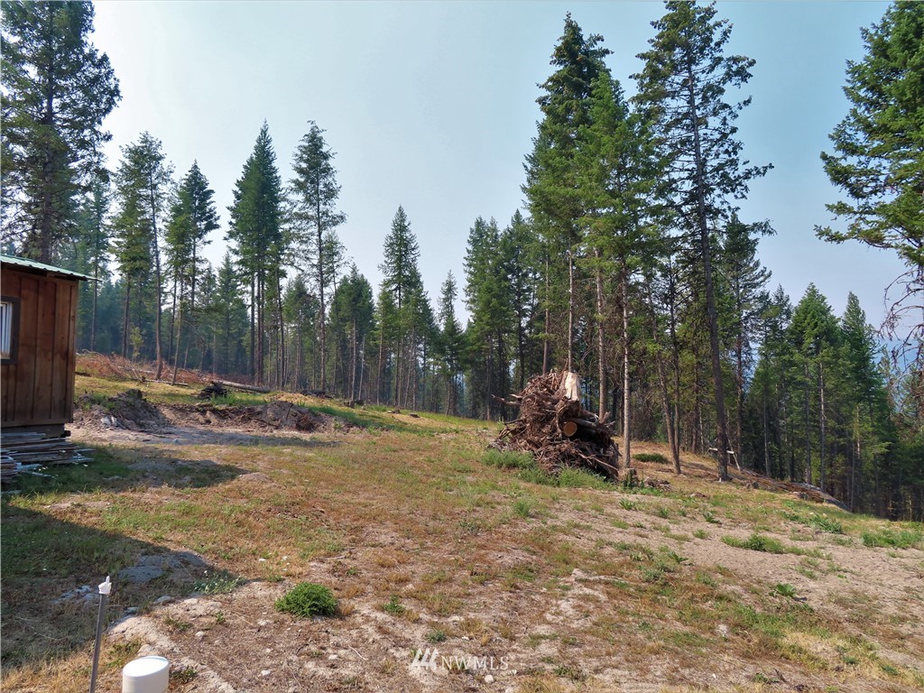 287 Mule Deer Road Republic, WA 99166 - Photo 23 of 25 a view of a outdoor space