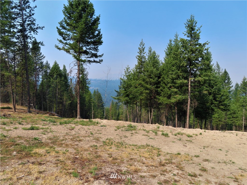 287 Mule Deer Road Republic, WA 99166 - Photo 24 of 25 a view of a covered with snow in the background