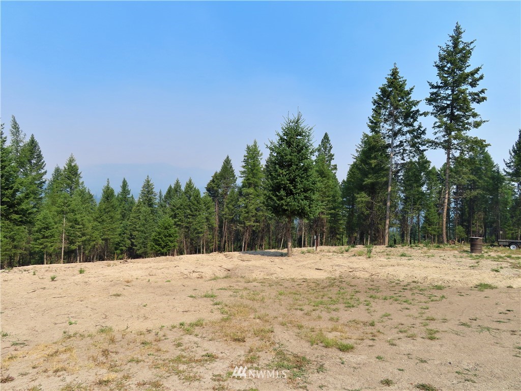 287 Mule Deer Road Republic, WA 99166 - Photo 25 of 25 a view of outdoor space yard