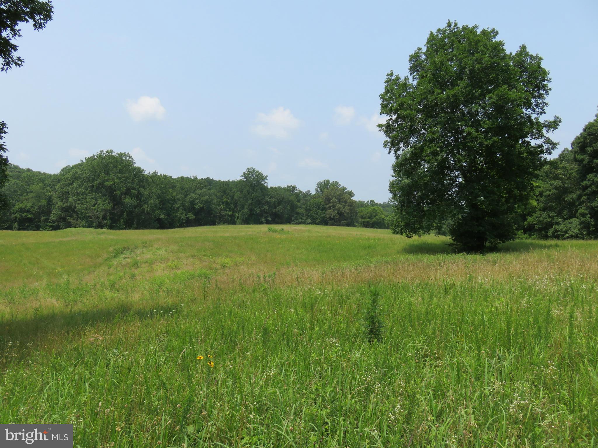 0 Lees Ridge Road Warrenton, VA 20186 - Photo 1 of 8 View