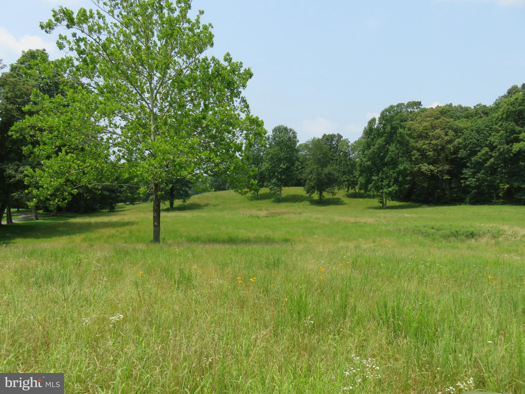 0 Lees Ridge Road Warrenton, VA 20186 - Photo 2 of 8 View