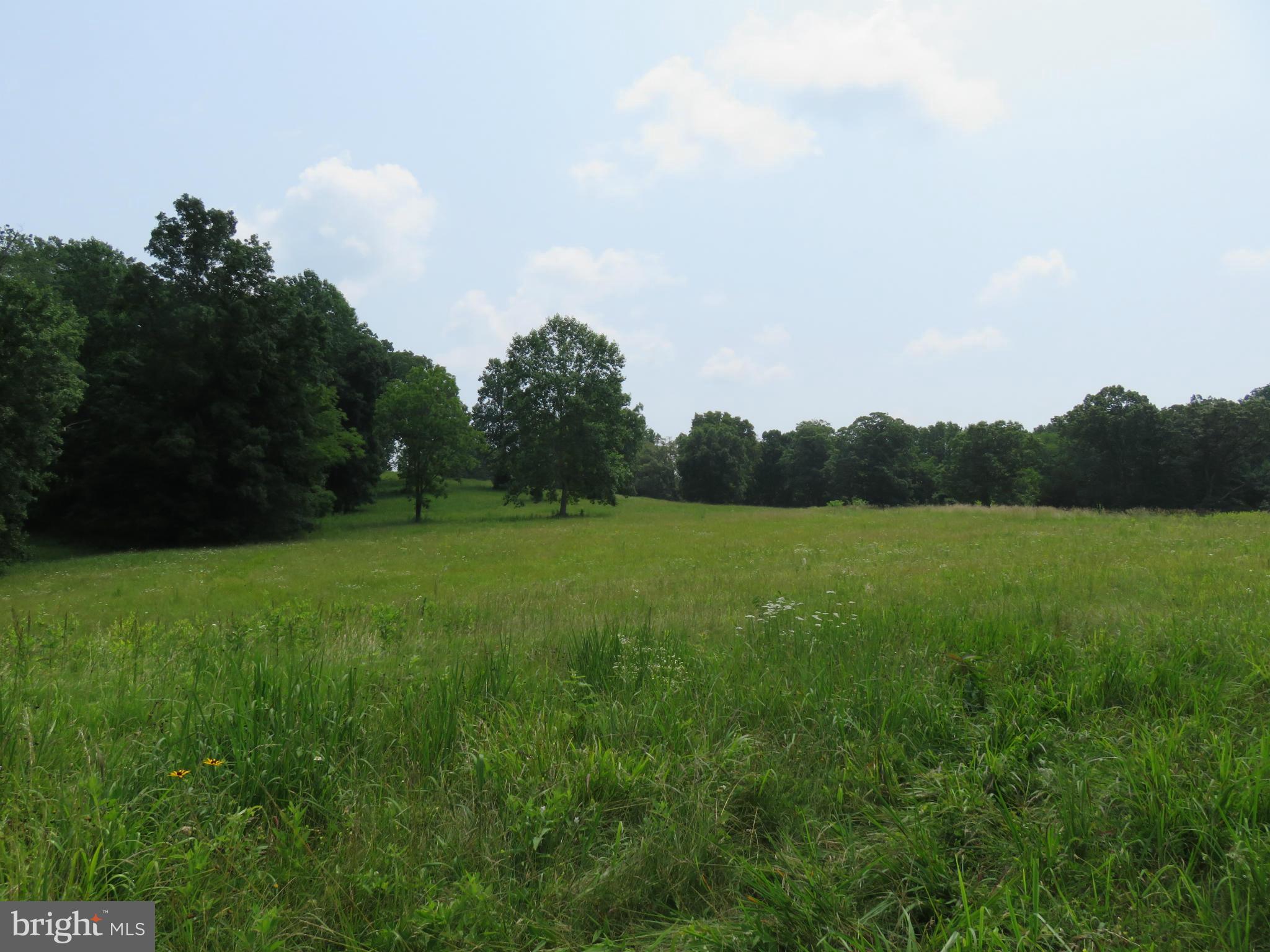 0 Lees Ridge Road Warrenton, VA 20186 - Photo 3 of 8 View