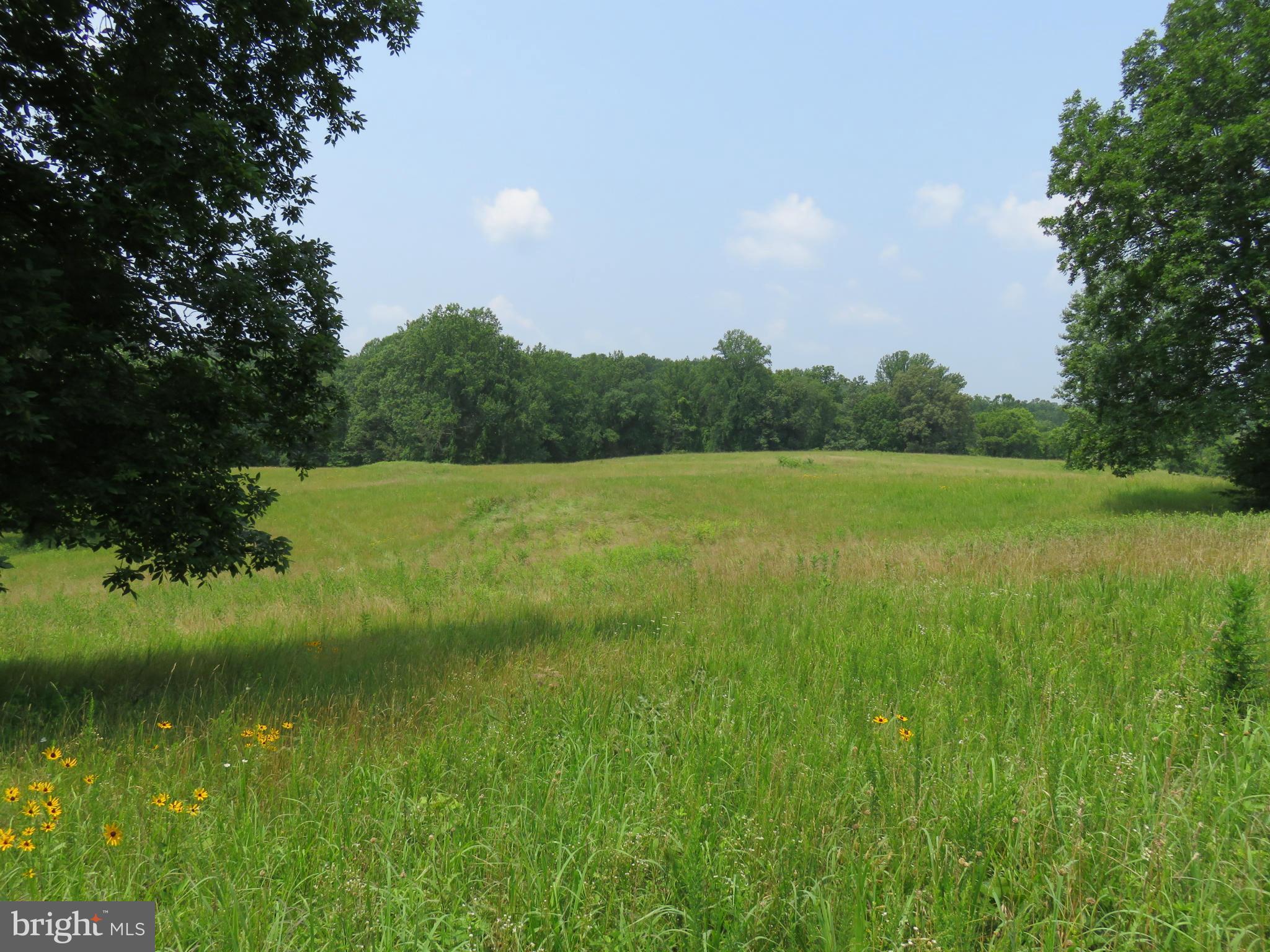 0 Lees Ridge Road Warrenton, VA 20186 - Photo 4 of 8 View