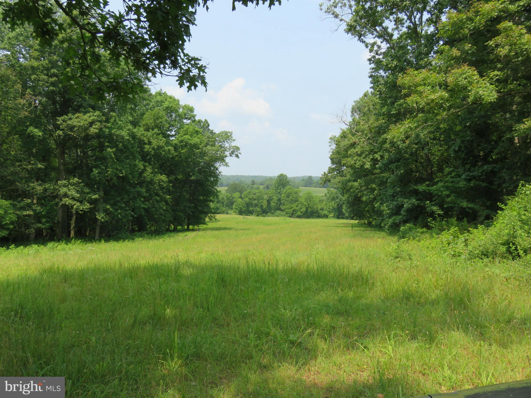0 Lees Ridge Road Warrenton, VA 20186 - Photo 5 of 8 View