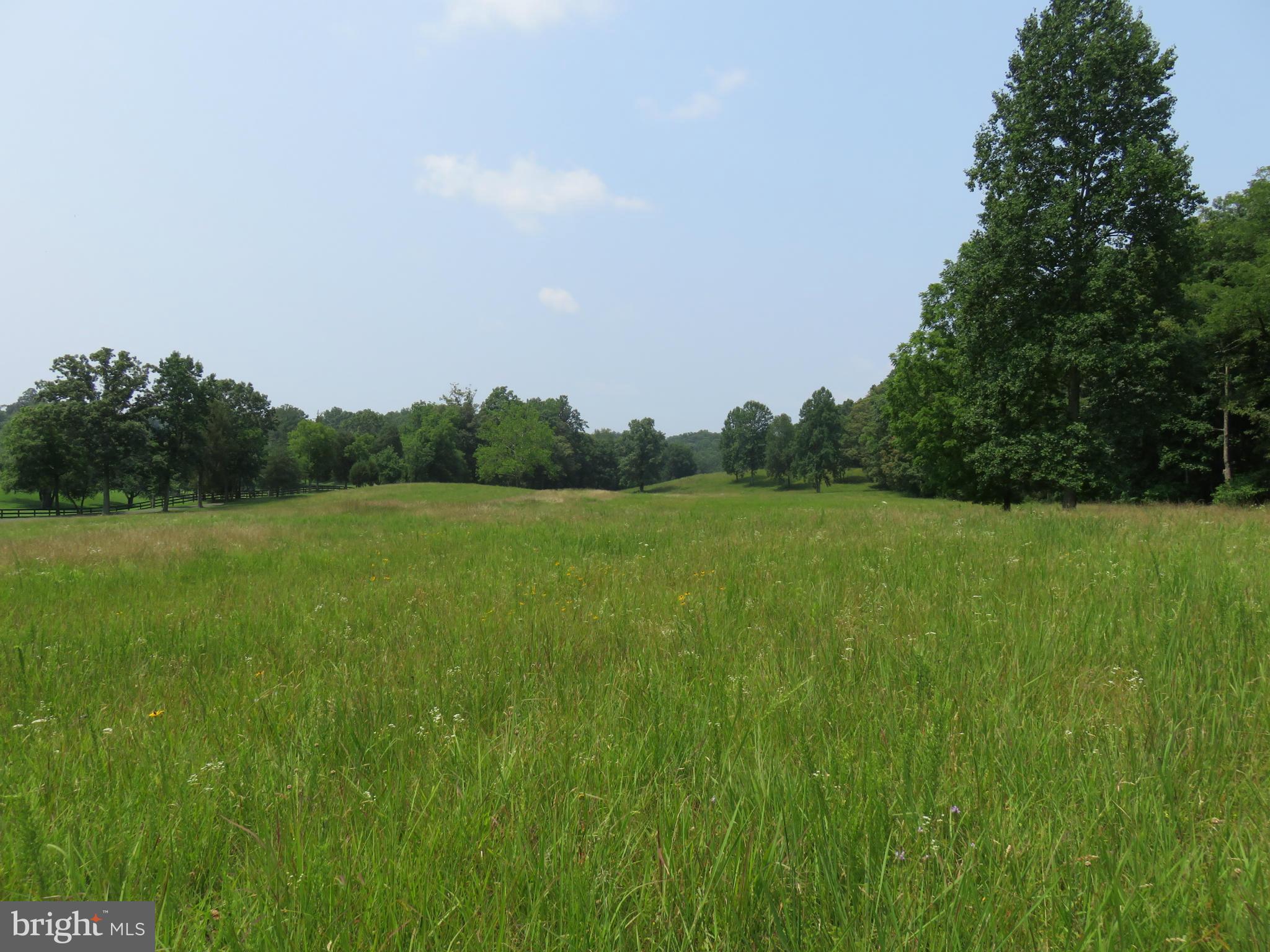 0 Lees Ridge Road Warrenton, VA 20186 - Photo 6 of 8 View