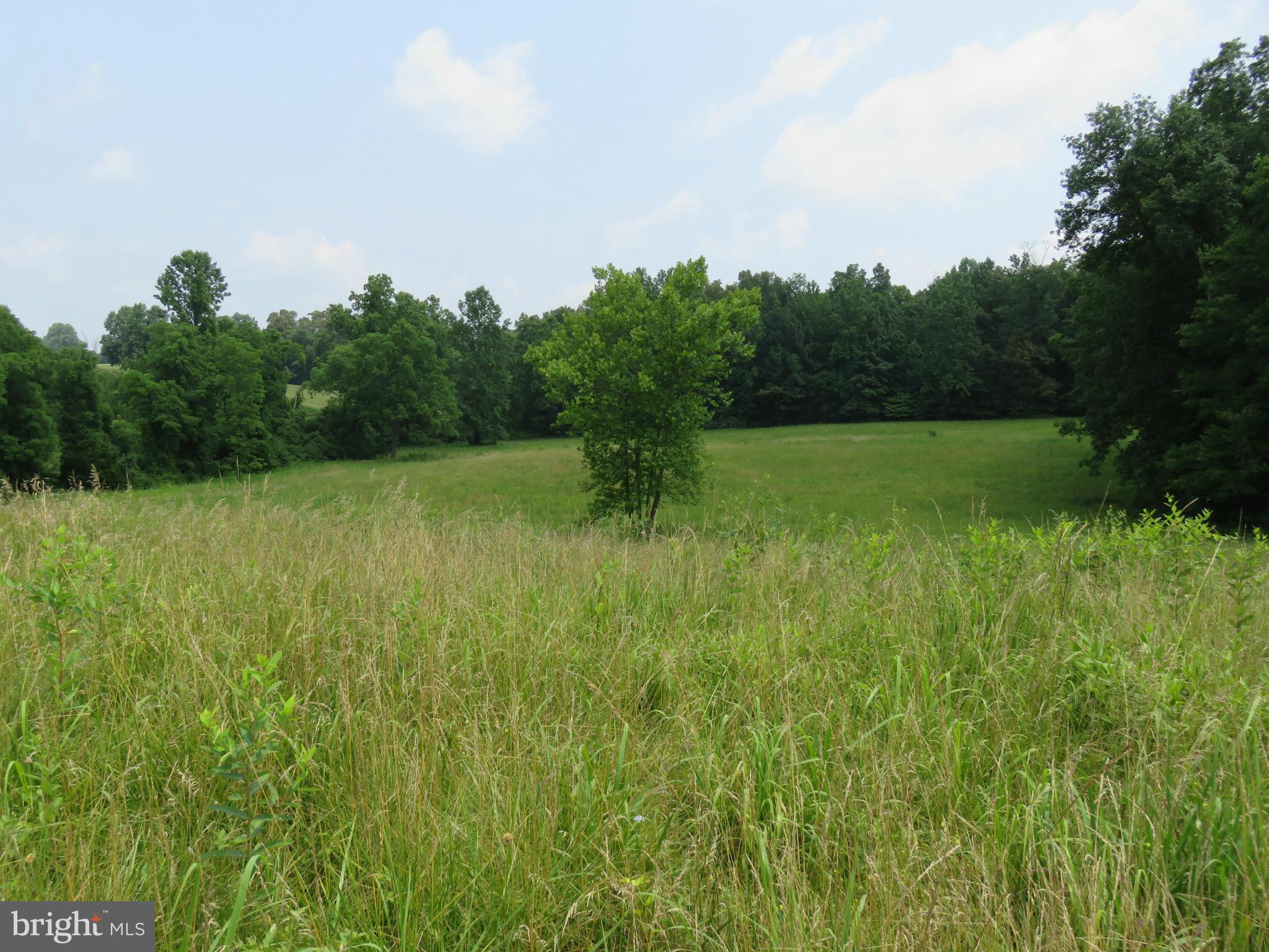 0 Lees Ridge Road Warrenton, VA 20186 - Photo 7 of 8 View