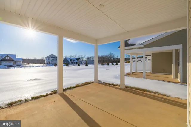 a view of a potted plant in front of a building