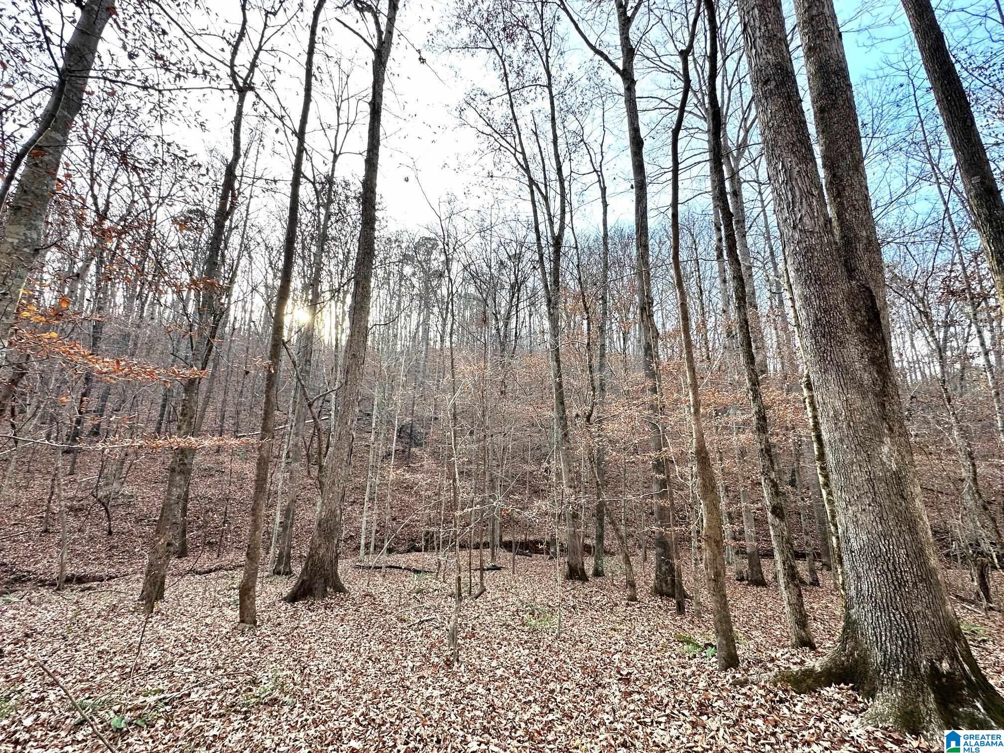 600 Earl Roberts Road, Unit 35 Anniston, AL 36207 - Photo 54 of 59 Gallery Image 54