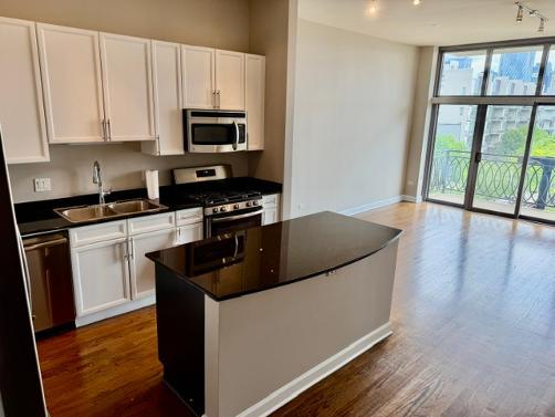 1201 West Adams Street, Unit 505 Chicago, IL 60607 - Photo 2 of 10 Gallery Image 2