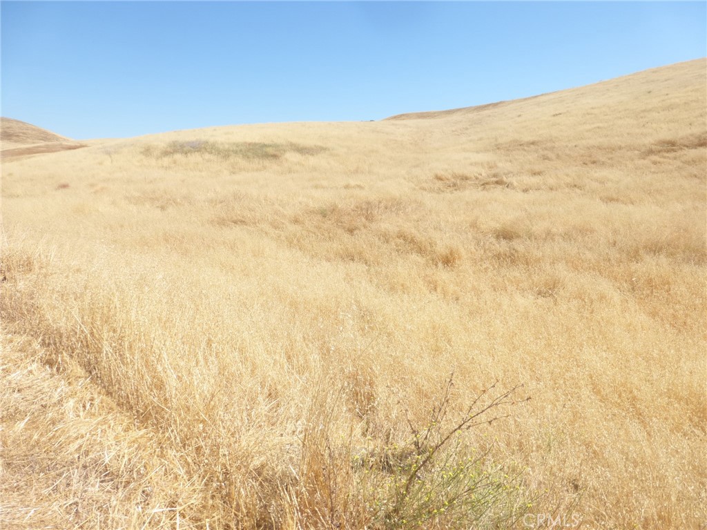 0 Douglas Road San Miguel, CA 93451 - Photo 73 of 75 Gallery Image 73