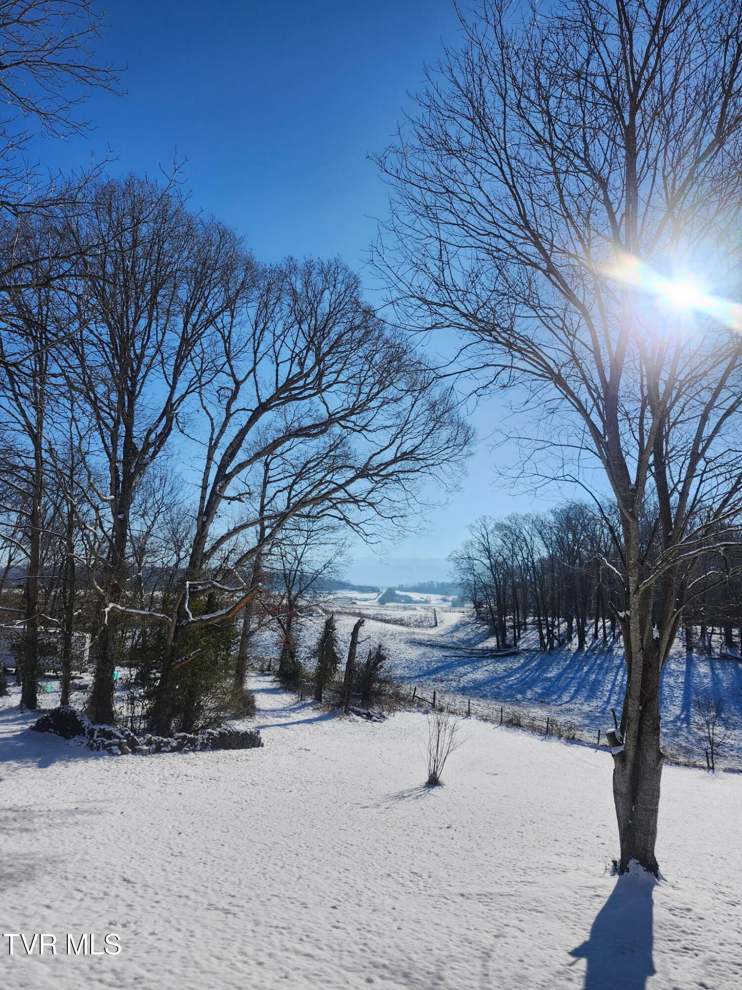 2771 Whirlwind Road Greeneville, TN 37743 - Photo 58 of 60 IMG_20250311_200753 (2)