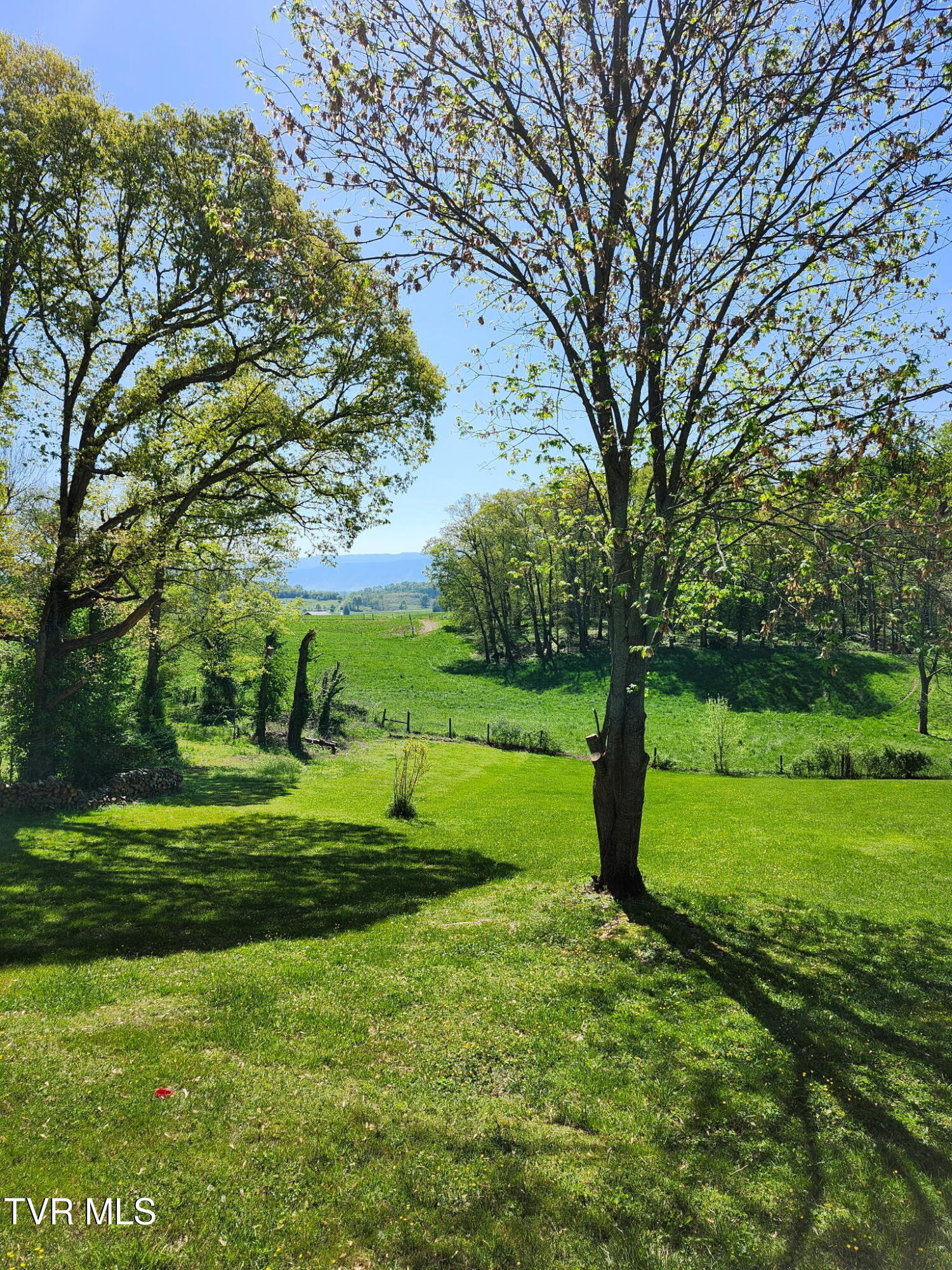 2771 Whirlwind Road Greeneville, TN 37743 - Photo 59 of 60 IMG_20250311_200753 (3)