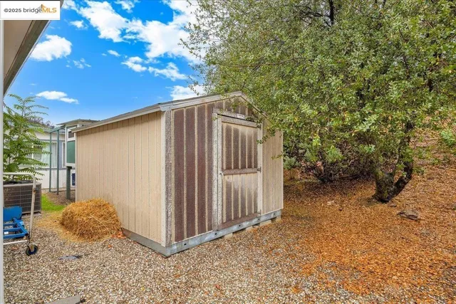 a view of backyard with tree