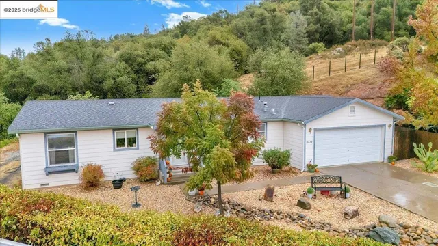 a backyard of a house with potted plants and large tree