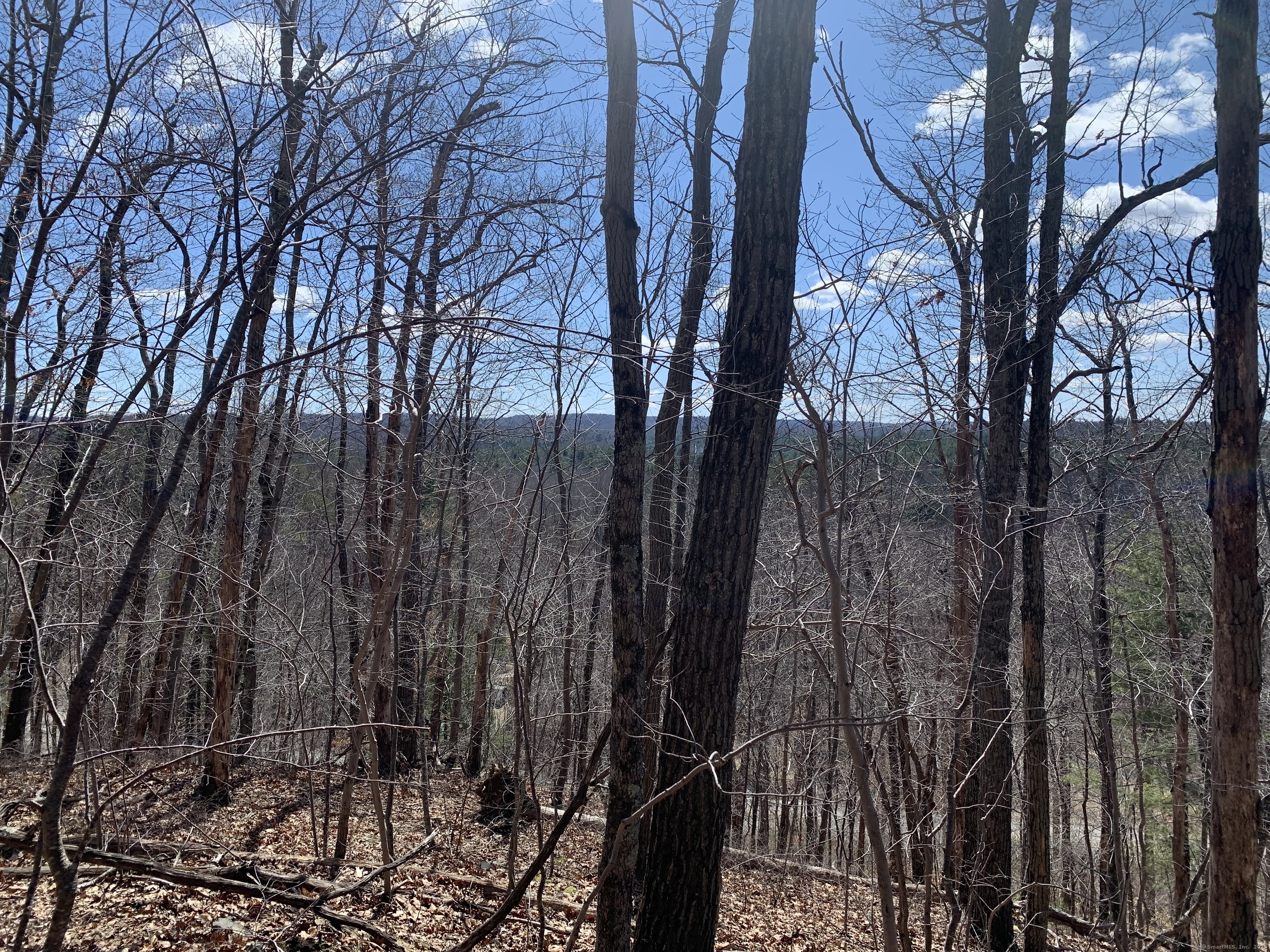 89 Crystal Lake Road, Unit T7 Ellington, CT 06029 - Photo 3 of 4 a view of a forest