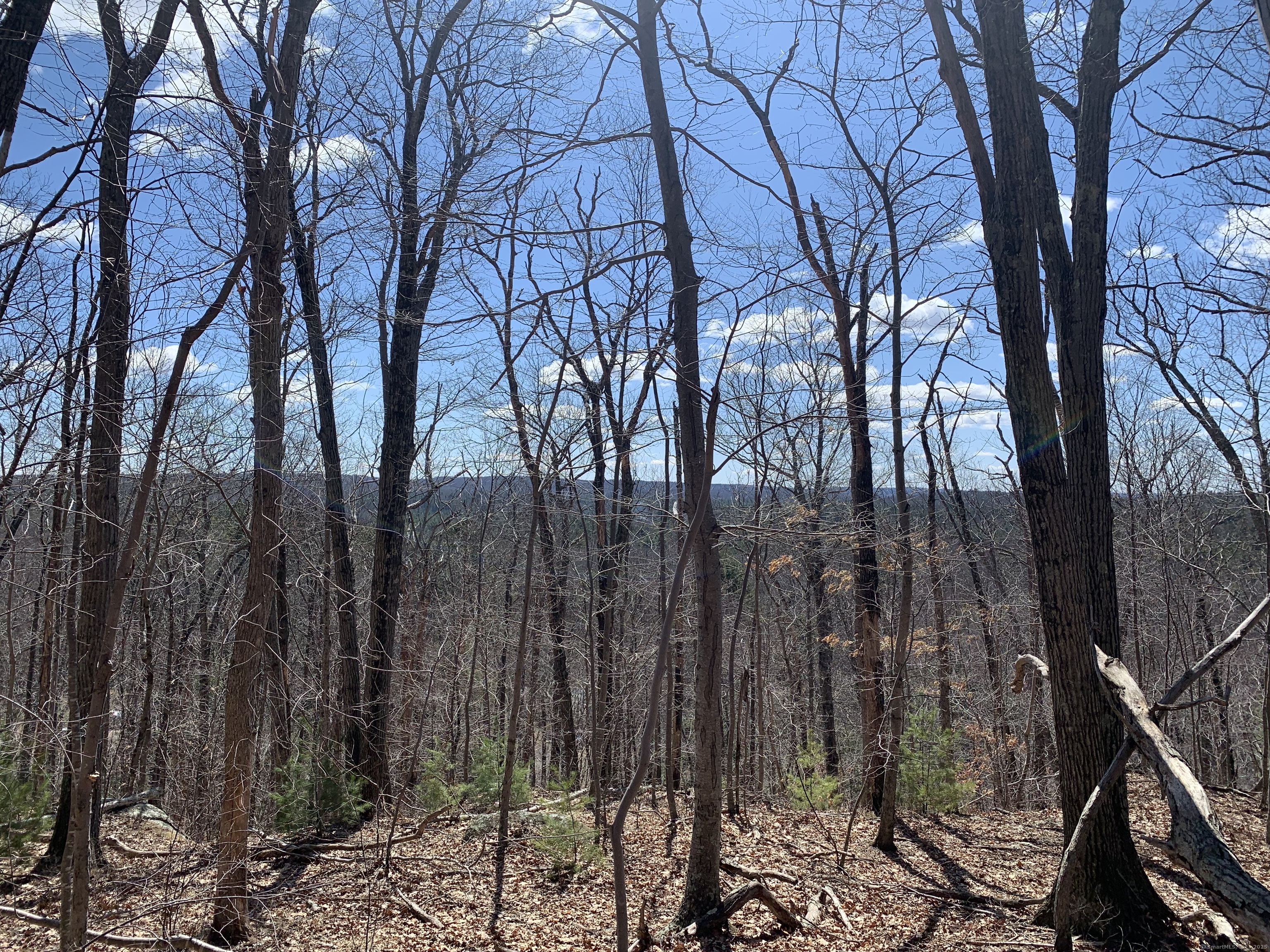 89 Crystal Lake Road, Unit T7 Ellington, CT 06029 - Photo 4 of 4 a backyard of a house with lots of green space
