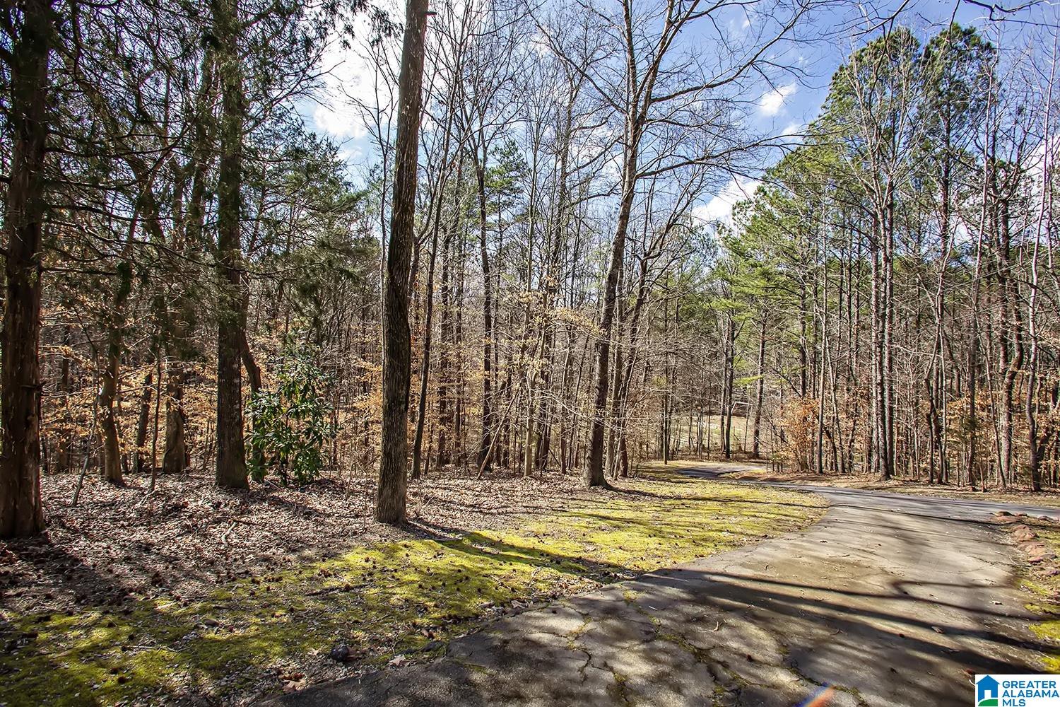 6911 Deer Haven Road Pinson, AL 35126 - Photo 48 of 52