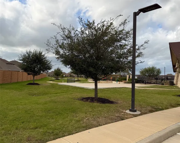 a view of a park with large trees