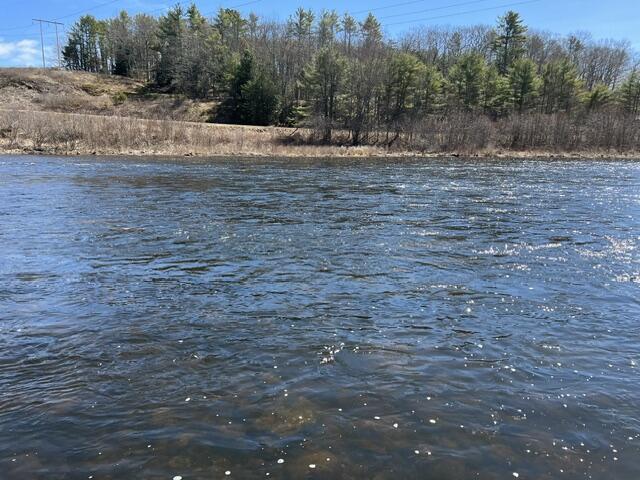 1071 Clinton Avenue Benton, ME 04901 - Photo 44 of 45 IMG_2699