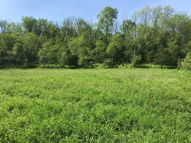 0 Creek Road Dry Ridge, KY 41035 - Photo 7 of 13