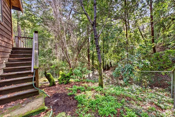 a view of a yard with plants and wooden fence