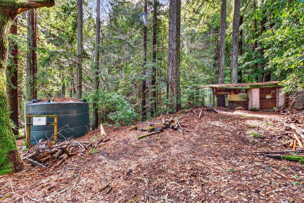 13033 Lompico Road Felton, CA 95018 - Photo 30 of 32 a view of a backyard with plants and large trees