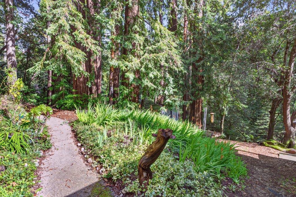 13033 Lompico Road Felton, CA 95018 - Photo 31 of 32 a backyard of a house with lots of green space