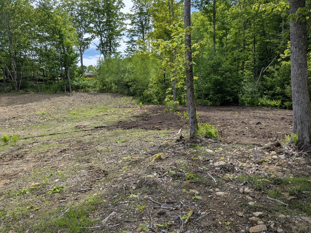 Lot 5 Old Colony Road Princeton, MA 01541 - Photo 6 of 6