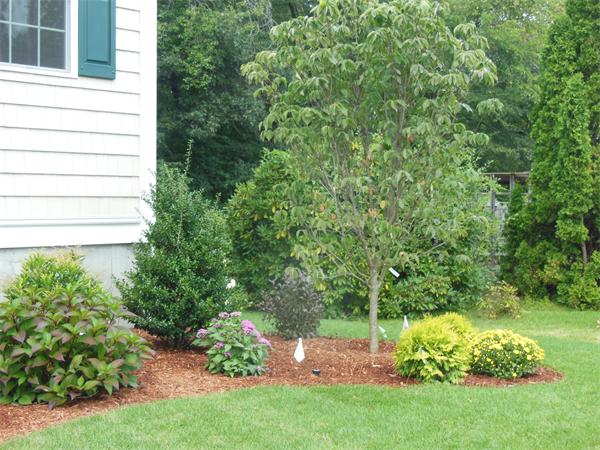 13 Walsh Road Bedford, MA 01730 - Photo 2 of 21 Gallery Image 2