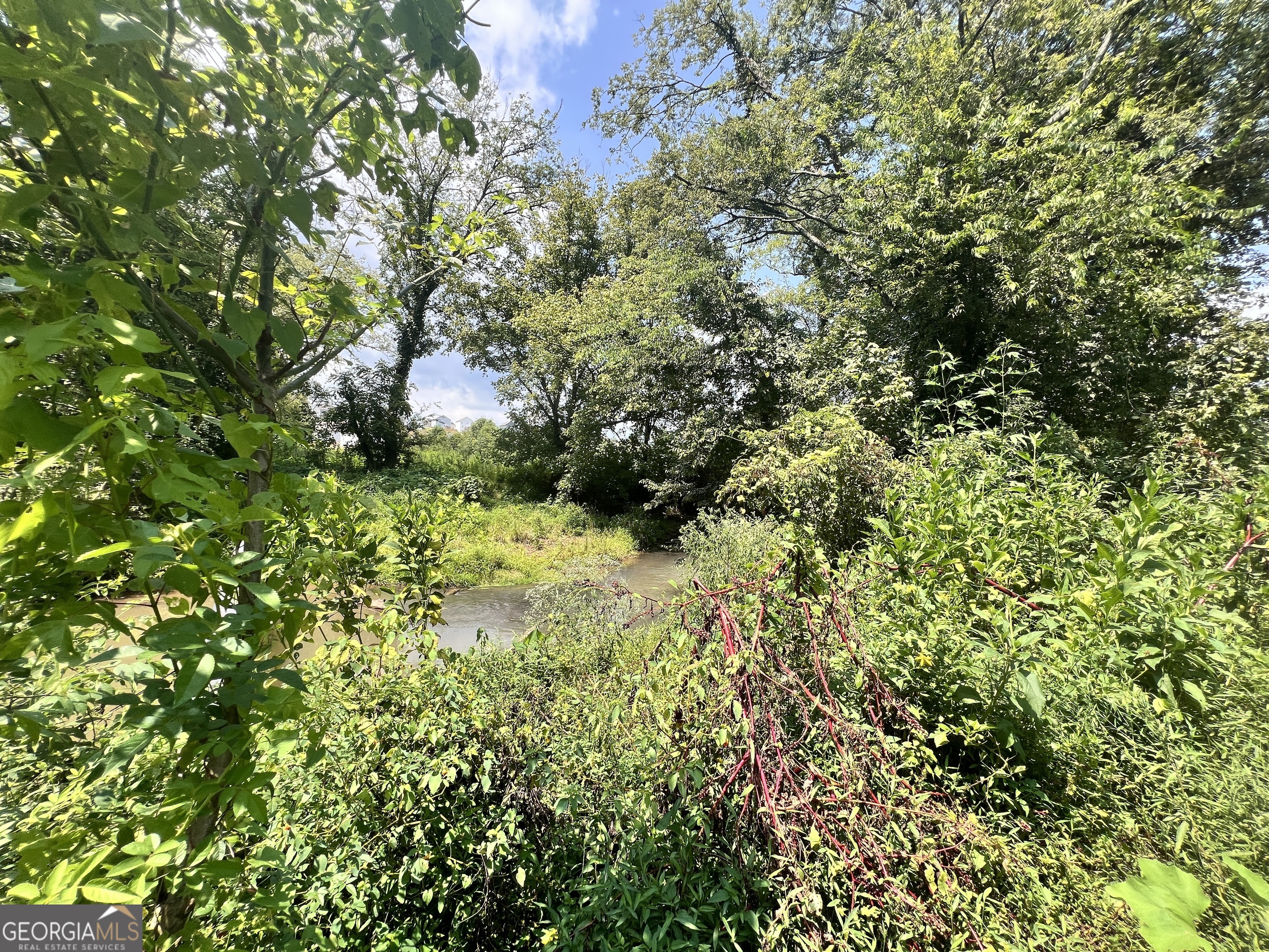 0 Woody Road Adairsville, GA 30103 - Photo 3 of 11 a backyard of a house